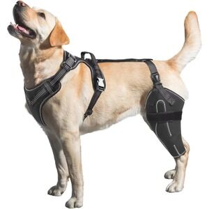 XL Dog Knee Brace for Left Leg ACL CCL Tear Joint Pain Support Wrap Recovery